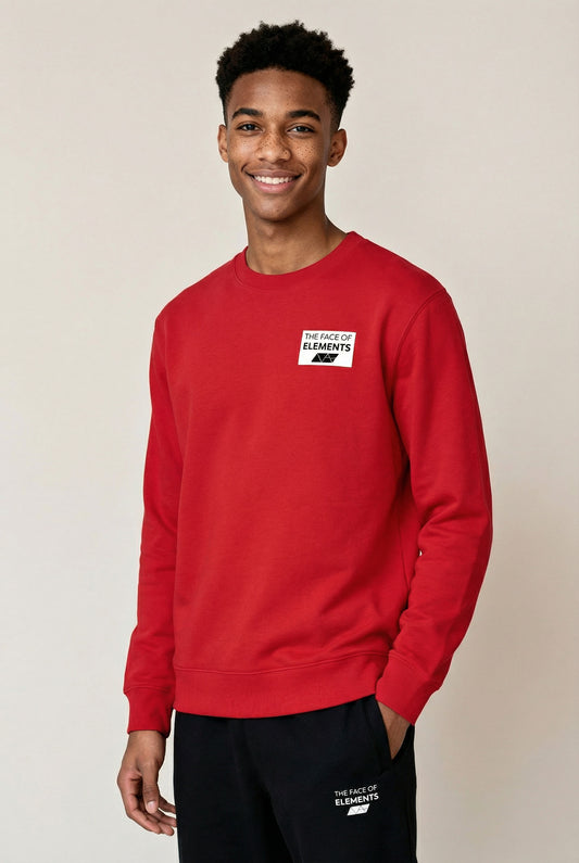 COLOR RUSH - REGULAR FIT SWEATSHIRT AUS BIO-BAUMWOLLE
