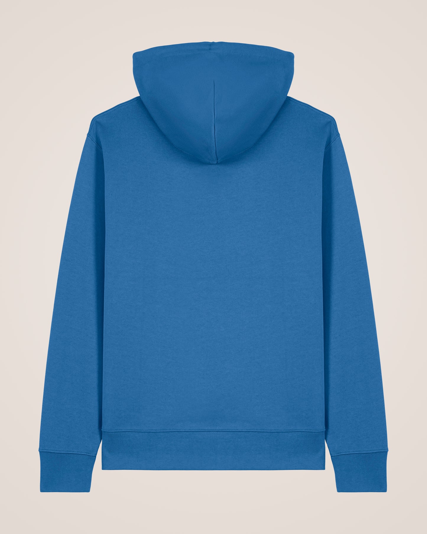 BASIC - Hoodie