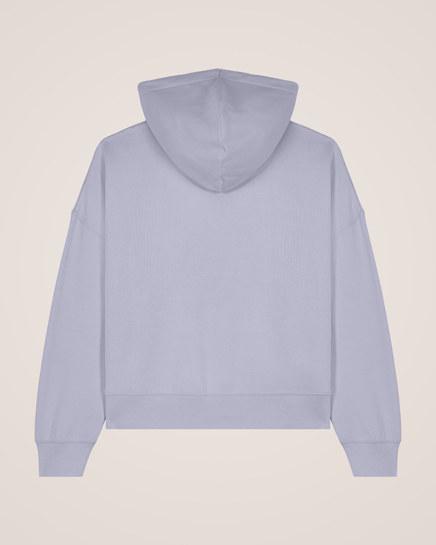 STRIPED SPHERE - Relaxed Fit Hoodie