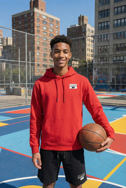 COLOR RUSH - REGULAR FIT HOODIE AUS BIO-BAUMWOLLE