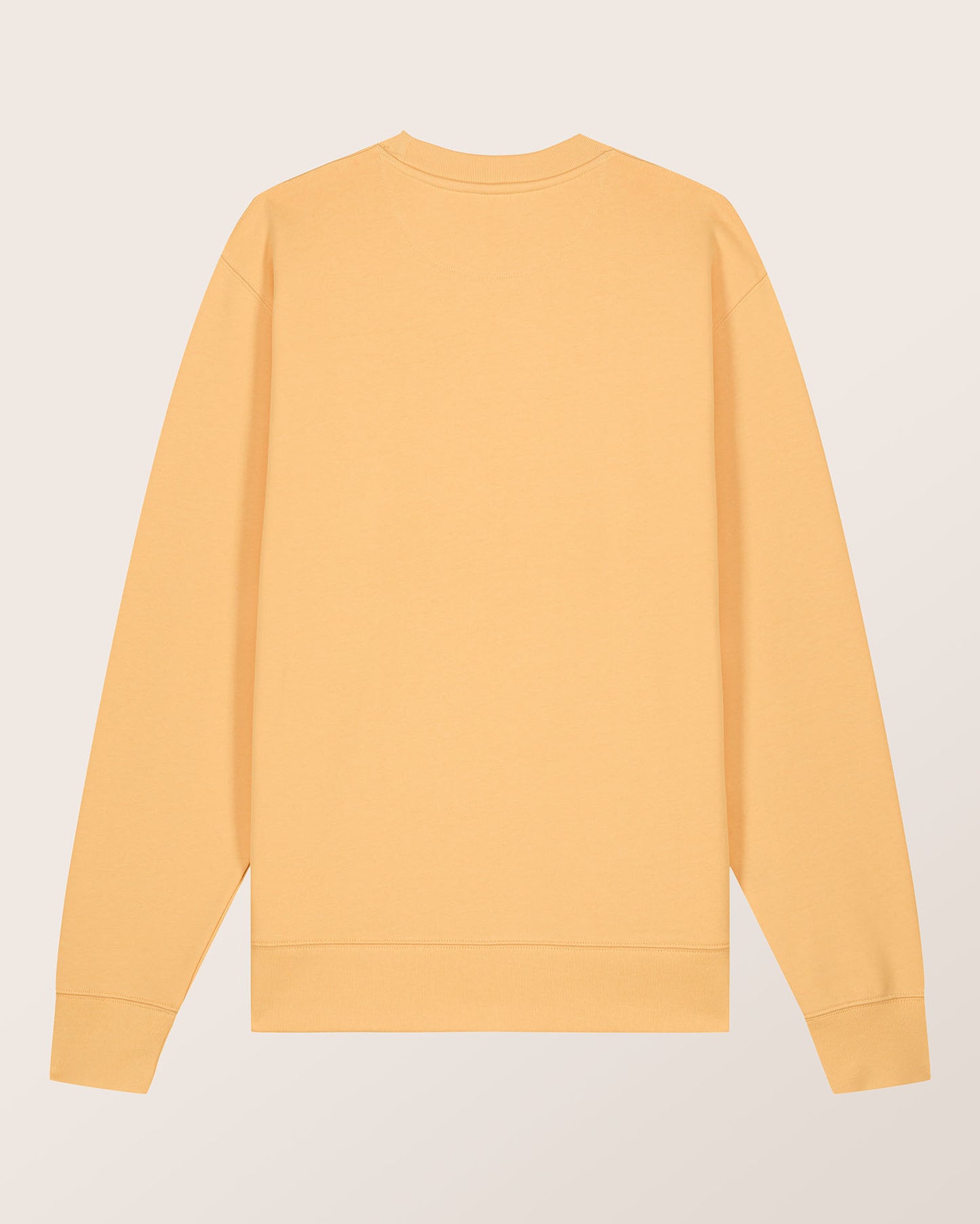 COLOR RUSH - REGULAR FIT SWEATSHIRT AUS BIO-BAUMWOLLE