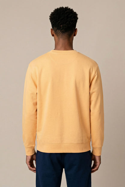 COLOR RUSH - REGULAR FIT SWEATSHIRT AUS BIO-BAUMWOLLE