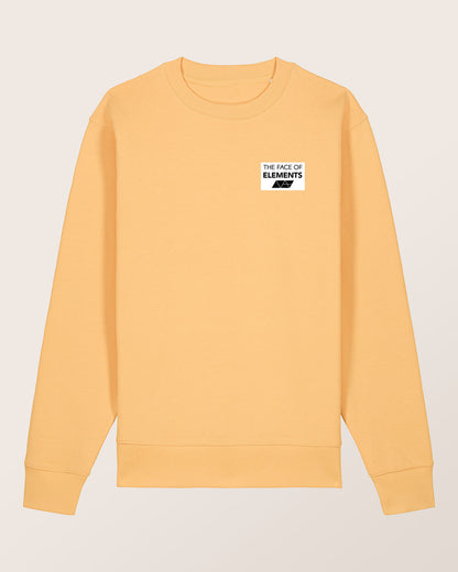 COLOR RUSH - REGULAR FIT SWEATSHIRT AUS BIO-BAUMWOLLE