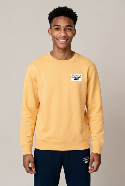 COLOR RUSH - REGULAR FIT SWEATSHIRT AUS BIO-BAUMWOLLE