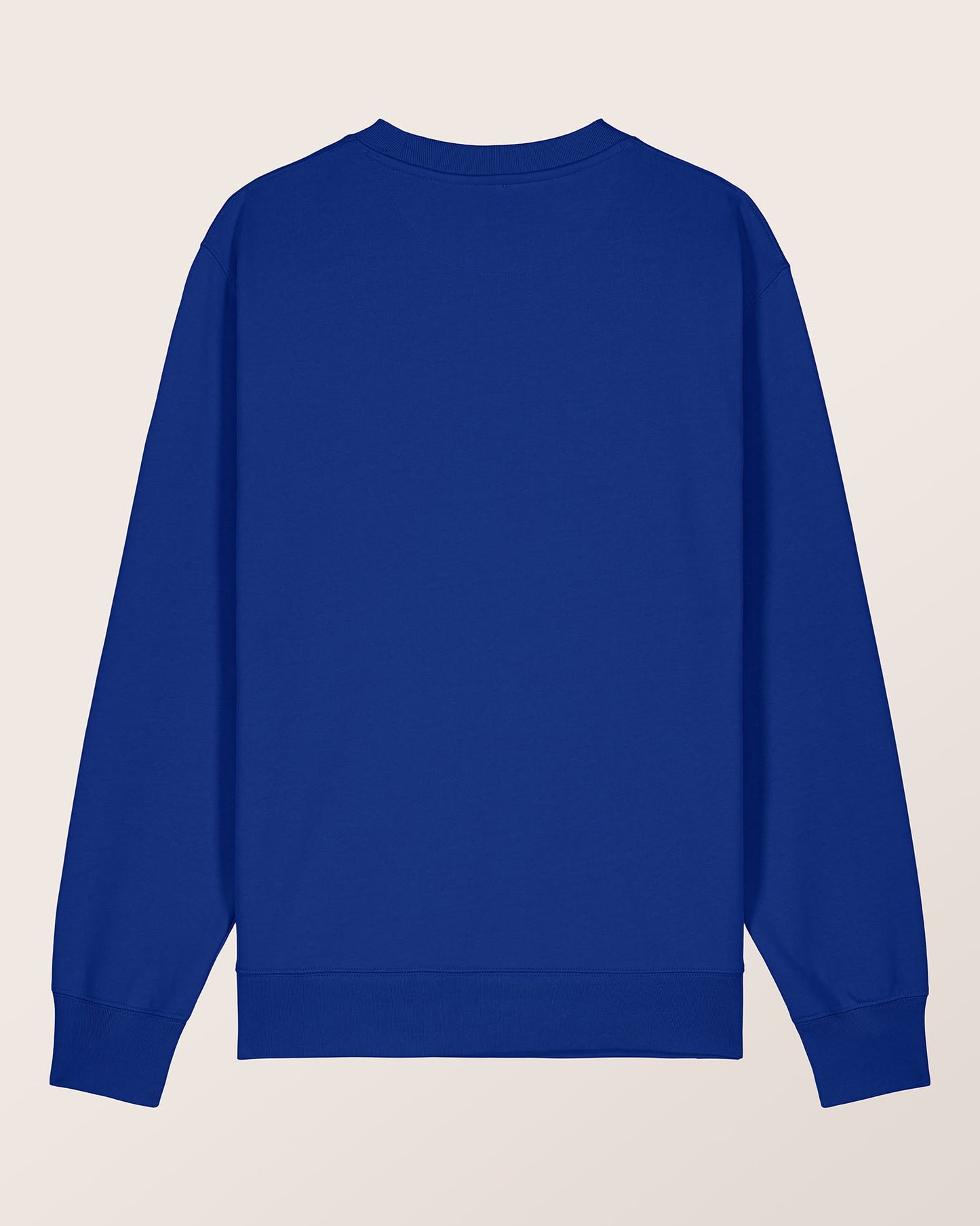 COLOR RUSH - REGULAR FIT SWEATSHIRT AUS BIO-BAUMWOLLE