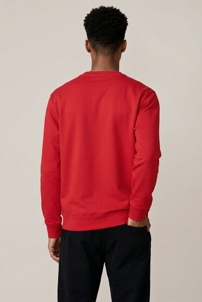 COLOR RUSH - REGULAR FIT SWEATSHIRT AUS BIO-BAUMWOLLE