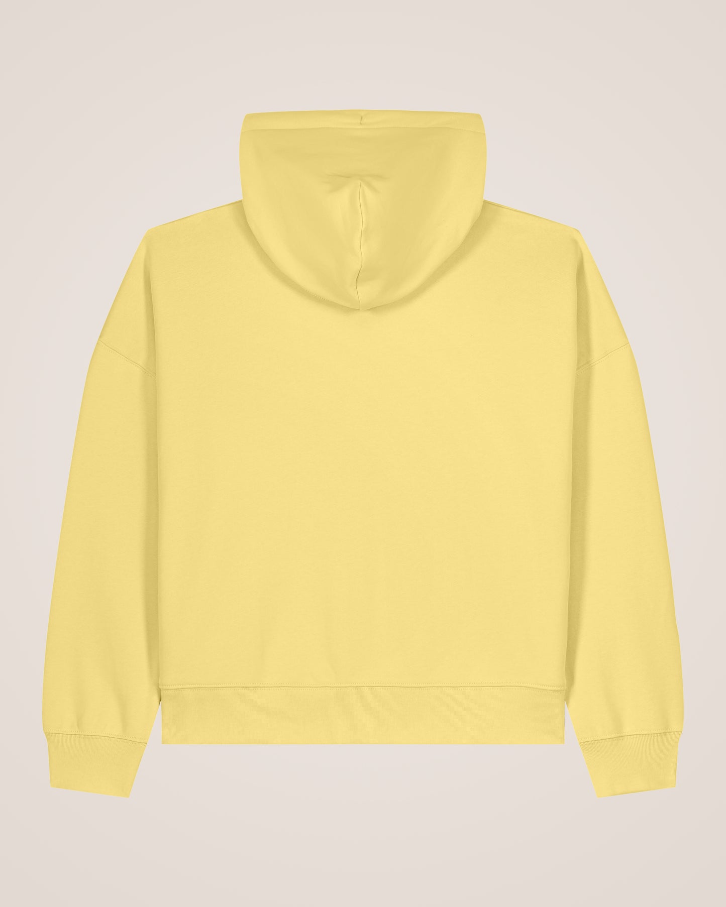 STRIPED SPHERE - Relaxed Fit Hoodie