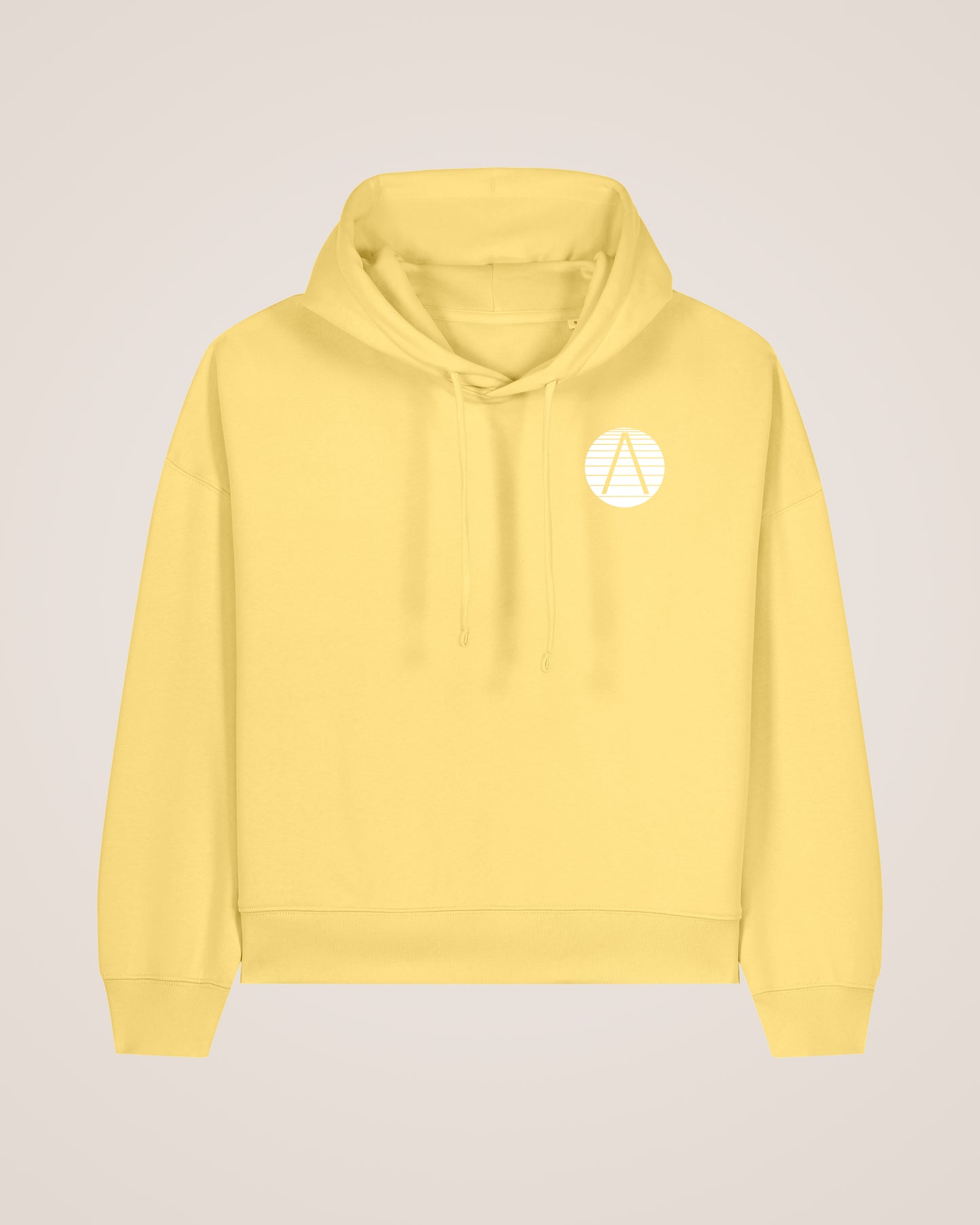 STRIPED SPHERE - Relaxed Fit Hoodie