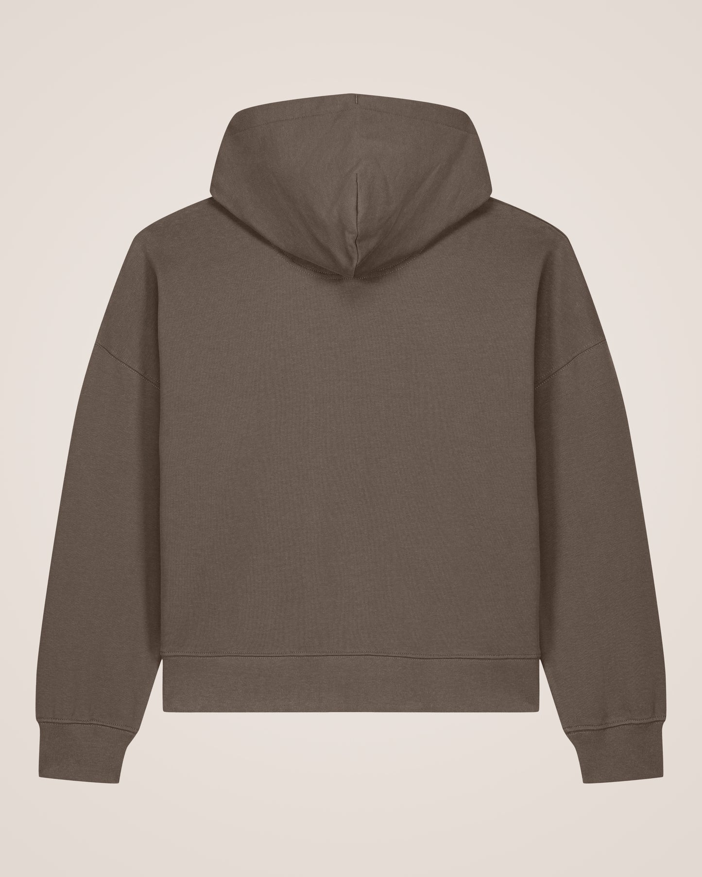 STRIPED SPHERE - Relaxed Fit Hoodie